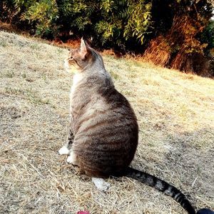 Meet your Posher, Danny